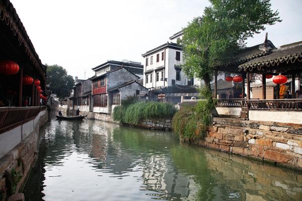 拯救精灵的土地5